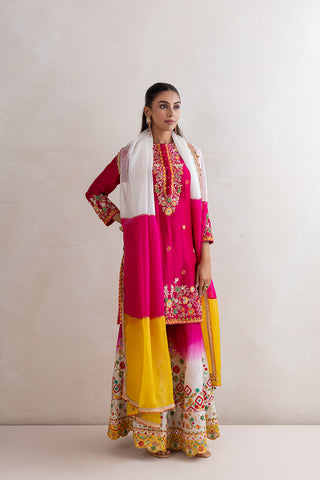 Ranibagh Sharara Set
