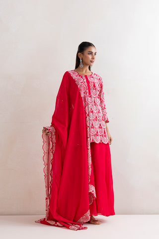 Mushk Sharara Set