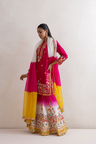Ranibagh Sharara Set