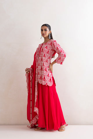 Mushk Sharara Set