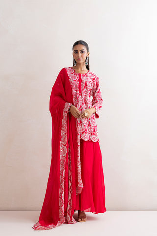 Mushk Sharara Set