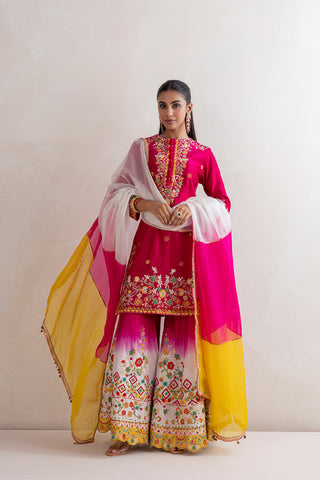 Ranibagh Sharara Set