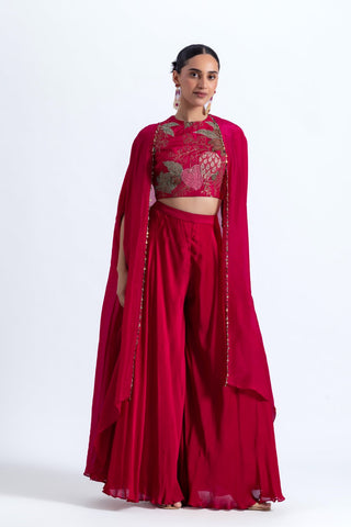 Gulzar Cape & Sharara Set