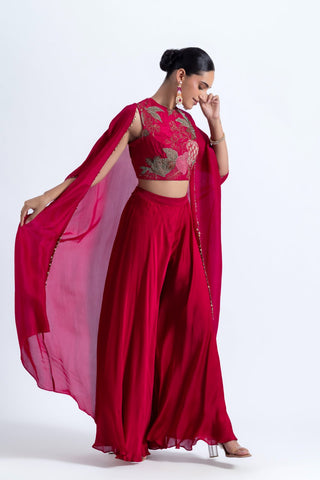 Gulzar Cape & Sharara Set