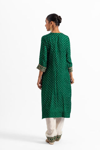 Raghvi Kurta Set