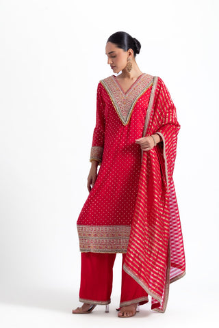 Daana Kurta Set