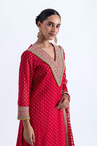 Daana Kurta Set