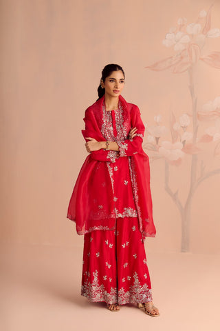 Sitaara Sharara Set