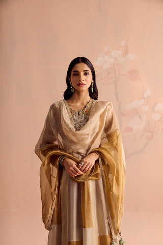 Zarveen Anarkali Set