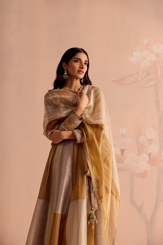 Zarveen Anarkali Set