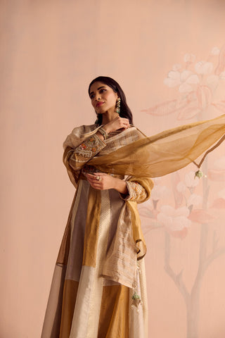 Zarveen Anarkali Set
