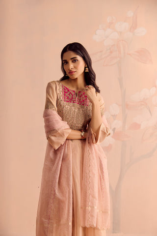 Falak Anarkali Set