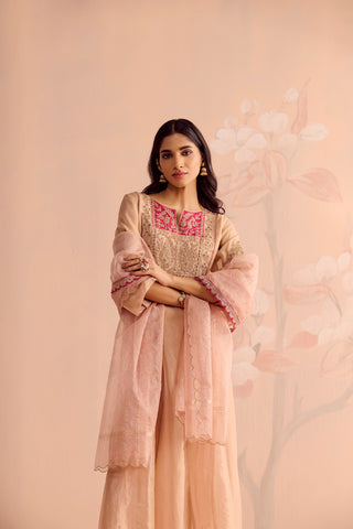 Falak Anarkali Set