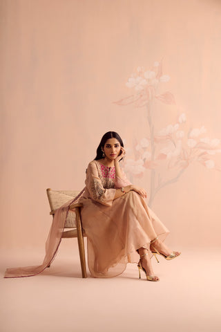 Falak Anarkali Set