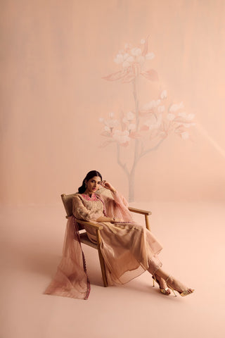 Falak Anarkali Set